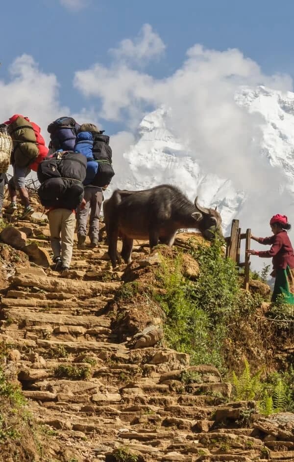 Annapurna Region Trekking