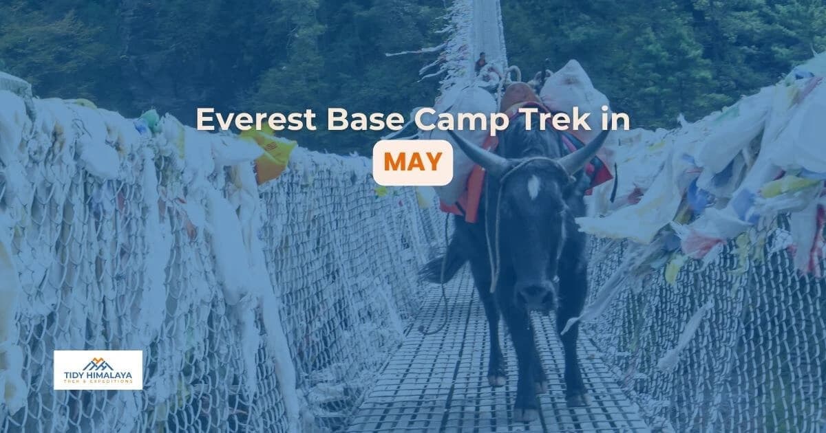 EBC Trek in May