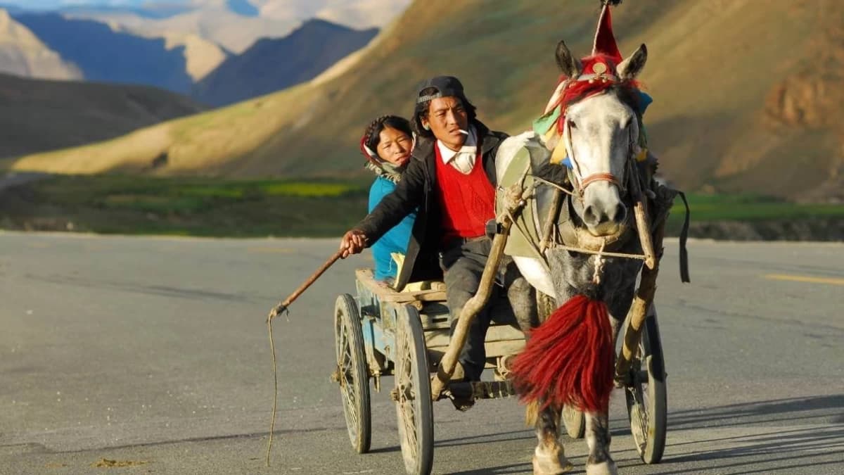 Tibet Tour (4 Nights, 5 Days)