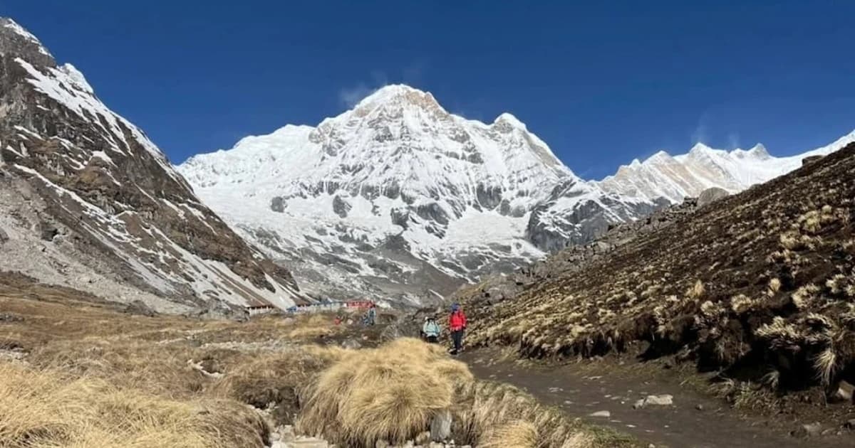 Terms and Conditions