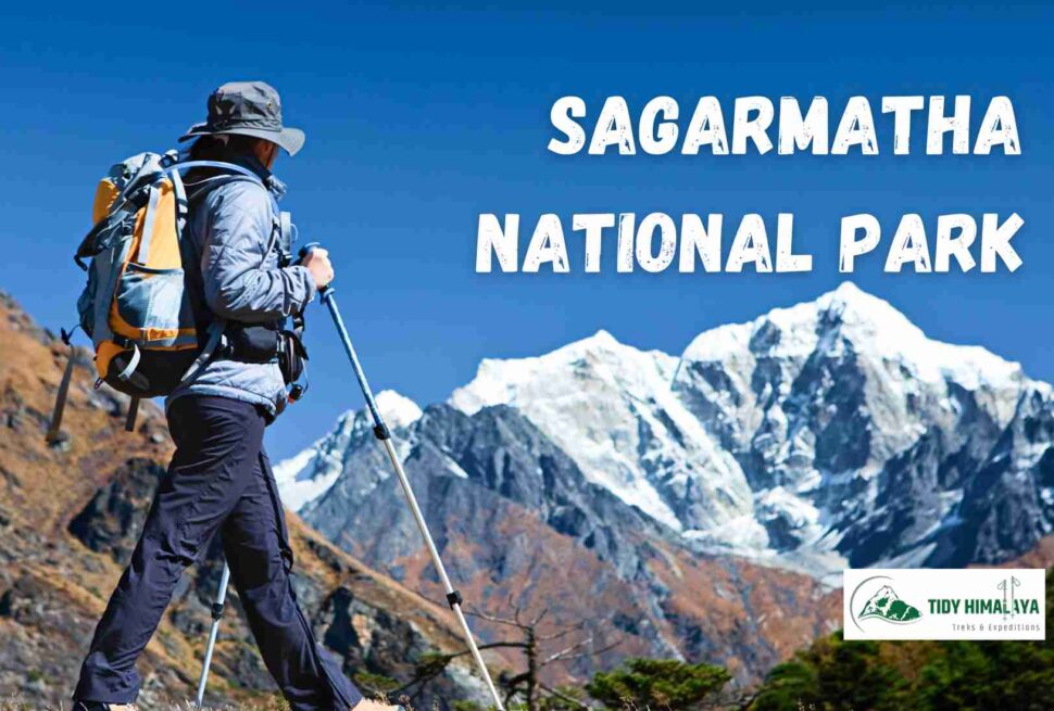 Female tourist is looking over Himalayas in Sagarmatha National Park⁠
