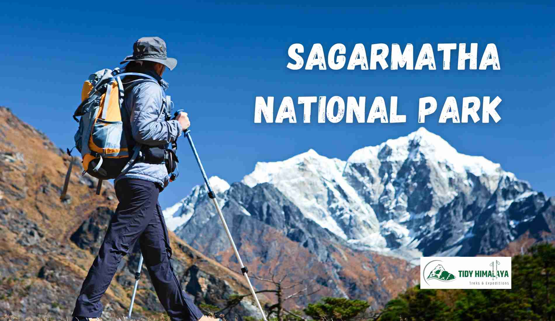 Female tourist is looking over Himalayas in Sagarmatha National Park⁠